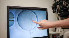 Corte Suprema de Alabama defiende fallo que considera embriones in vitro como niños