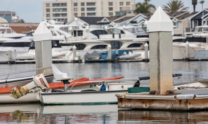 Casi 2 docenas de presuntos migrantes atracan un barco en Newport Beach antes de desaparecer