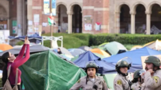 Trabajadores académicos iniciarán huelga contra Universidad de California por su manejo de protestas