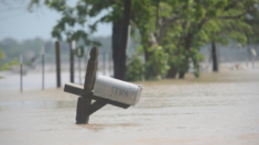 Niño muere tras ser arrastrado en inundación a causa de las tormentas que azotan Texas