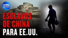 Esclavos de China para EE.UU. y el mundo: Informe descubre verdad oculta