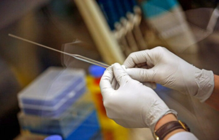 Un investigador prepara células madre en Madison, Wisconsin, el 10 de marzo de 2009. (Darren Hauck/Getty Images)