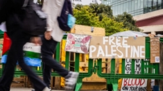 Protestas pro-Palestina en los campus fueron financiadas por organización pro-Hamás, dice investigador