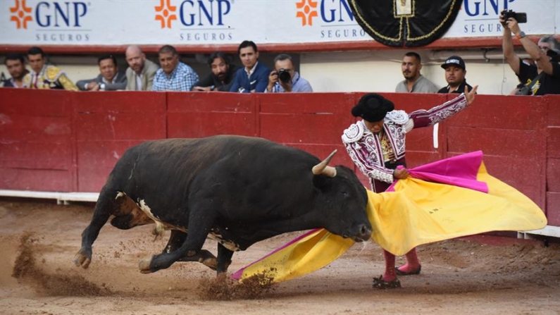 Fotografía de archivo donde aparece el torero mexicano Alejandro Adame. EFE/Tadeo Alcina