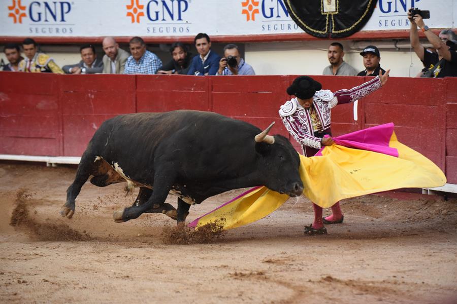 Aplazan audiencia para suspender definitivamente las corridas de toros en Ciudad de México
