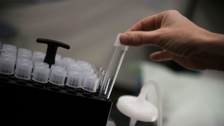Transferencia de embriones frescos y congelados podría aumentar riesgo de leucemia entre la descendencia