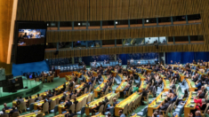 Asamblea General de la ONU respalda candidatura palestina al organismo internacional