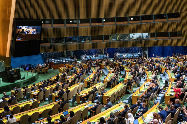 Asamblea General de la ONU respalda candidatura palestina al organismo internacional