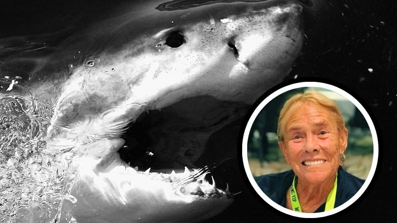 Muere actriz que interpretó a la primera víctima de “Tiburón”, la icónica película de terror de Spielberg