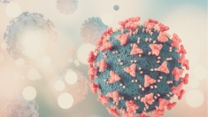 COVID-19 y su vacuna posiblemente contribuyeron a aumento de enfermedad autoinmune rara: Estudio