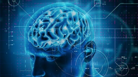 Harvard y Google se unen para crear el mapa más completo del cerebro humano hasta ahora