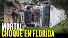 Accidente de autobús deja 8 muertos y decenas de heridos en Florida; Cohen vuelve a testificar | NET