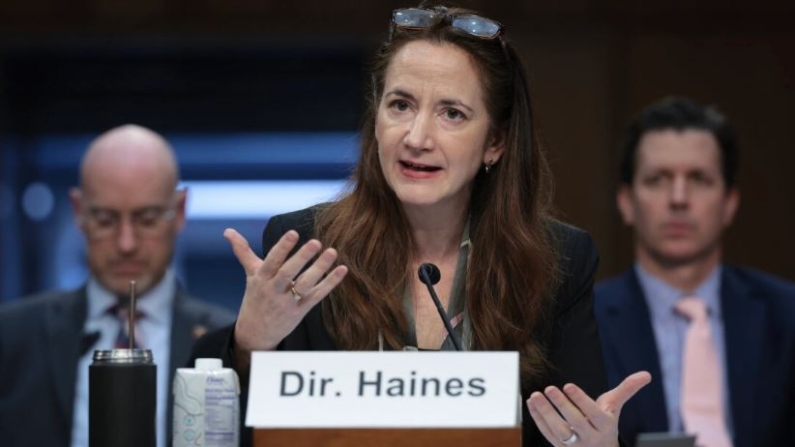 La Directora de Inteligencia Nacional Avril Haines testifica ante el Comité de Servicios Armados del Senado en Washington el 2 de mayo de 2024. (Win McNamee/Getty Images)