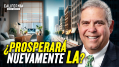 ‘Trabajar desde casa’ destruye el centro de Los Ángeles | Chris Cooper