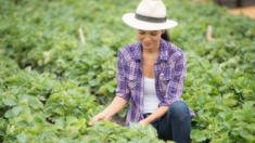 La jardinería puede mejorar la calidad del sueño en adultos: Estudio