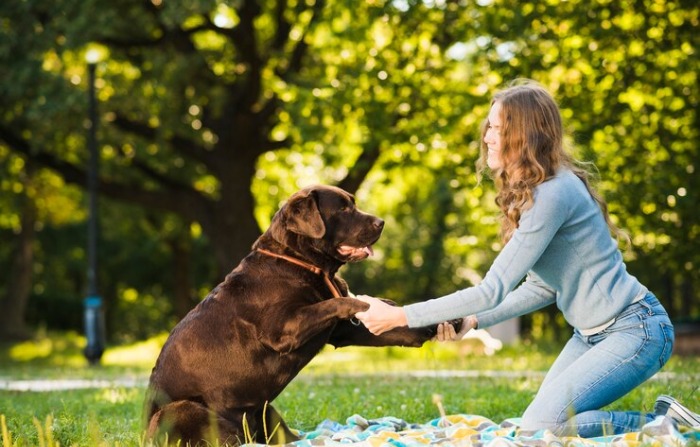 Entrenar a un animal requiere mucha dedicación y conocimiento, lo que lo convierte en una excelente actividad para que la practiquen los educadores en casa. Imagen Ilustrativa (Freepik)