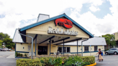 Red Lobster se declara en quiebra en medio de elevados costes