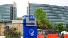 Los CDC envían equipo a Colorado tras declaración de catástrofe del gobernador por gripe aviar