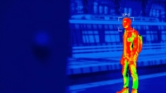 Nuevas aplicaciones de termografía para la detección de enfermedades