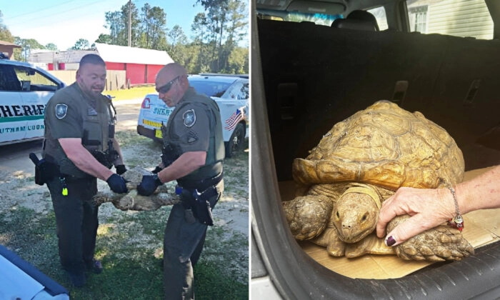 (Cortesía de Florida's Wildest Animal Rescue)
