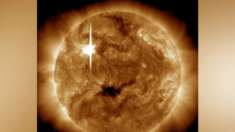 El campo magnético del Sol puede originarse cerca de la superficie solar
