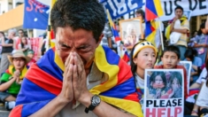 China está desalojando a los tibetanos de sus asentamientos rurales, dice informe de Derechos Humanos