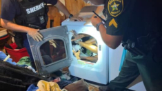 Prófugo de la justicia tras tiroteo es encontrado dentro de una secadora de ropa