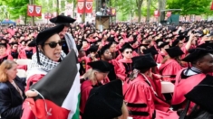 Grupo de graduados abandona ceremonia de graduación de Harvard gritando «Palestina libre, libre»