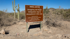 Senado de Arizona aprueba medida electoral que permite detener a inmigrantes ilegales