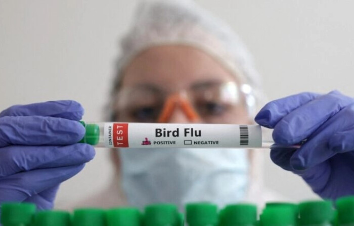 Una persona sostiene un tubo de ensayo con la etiqueta "Gripe aviar" en una imagen del 14 de enero de 2023. (Dado Ruvic/Reuters)