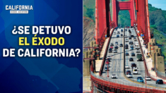 California AUMENTA su población por primera vez en años (Esto es lo que debe saber) | Travis Gillmore