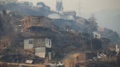 Chile: Vinculan a un bombero y un funcionario forestal con incendios que causaron 130 muertes