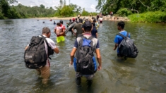 Más de 160,000 migrantes ilegales han cruzado la selva del Darién este año en su camino a EE.UU.