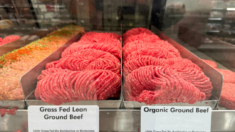 Precios récord de la carne de res podrían ser la «nueva norma», dice ganadero