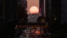 ¿Qué es el fenómeno Manhattanhenge y cuándo puede disfrutarlo?