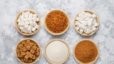 Dulcificantes: Comprenda cómo el azúcar y los sustitutos artificiales afectan la salud cerebral