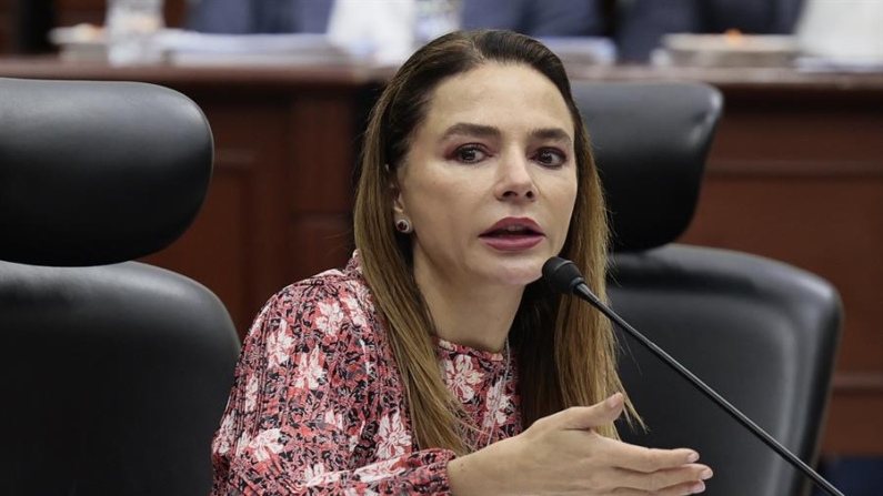 La consejera del Instituto Nacional Electoral (INE), Carla Humphrey, participa durante una sesión de ese Instituto celebrada este miércoles 29 de mayo de 2024 en Ciudad de México (México). EFE/José Méndez