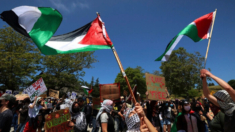 Policía arresta a 80 personas en protesta contra la guerra Israel-Hamás en Universidad de Santa Cruz