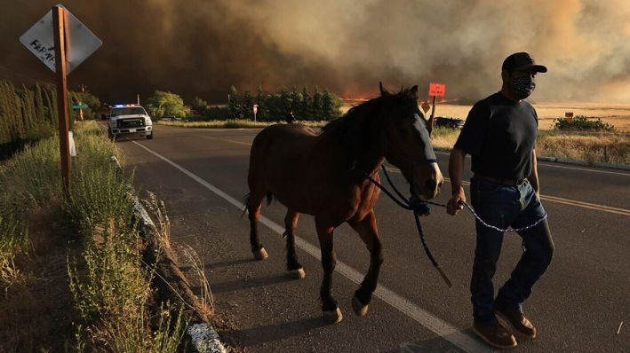 Un residente de Vernalis Road evacua su caballo mientras el incendio Corral arrasa ranchos al oeste de Tracy, California, el 1 de junio de 2024. (Kent Porter/The Press Democrat vía AP)