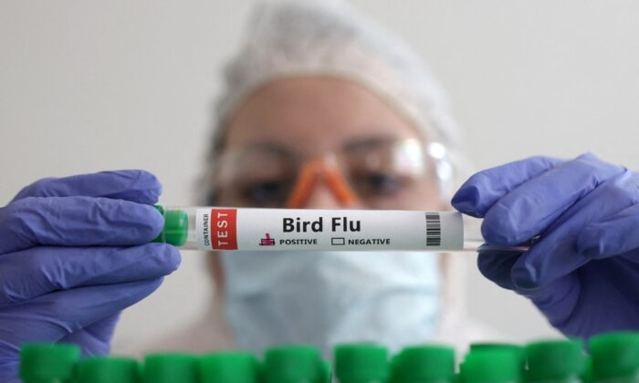 Un trabajador de laboratorio muestra un tubo de ensayo el 14 de enero de 2023. (Dado Ruvic/Reuters)
