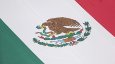 Conozca a los gobernadores electos de México y la jefa de gobierno de CDMX