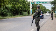 Incautan en Colombia 2 toneladas de marihuana en vehículo con matrícula venezolana