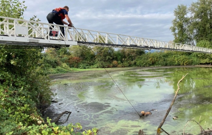 Christopher Pray es rescatado de un estanque embarrado en Portland, Oregón, el 1 de septiembre de 2023. (Bomberos y rescate de Portland vía AP)