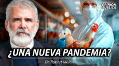 Gripe aviar: ¿Amenaza real o exageración? El Dr. Robert Malone analiza la controversia