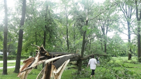 Tornado azota Michigan sin previo aviso y mata a un niño, mientras otro causa 5 heridos en Maryland