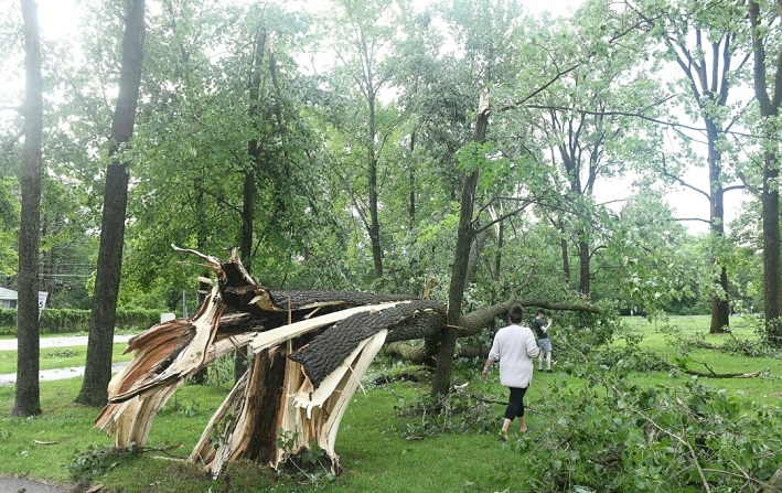 Laure (cq) Hibberd y su hijo, Johnny Hibberd pasan junto a un árbol derribado en Rotary Park después de que un tornado arrasara la zona en Livonia, Michigan, el miércoles 5 de junio de 2024. (Robin Buckson/Detroit News vía AP)
