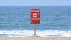 Cierran repentinamente playas de Massachusetts por altos niveles de bacterias