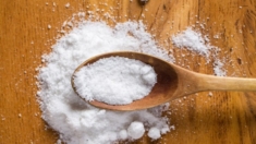 Relacionan hábitos de consumo de sal con mayor riesgo de cáncer de estómago, la causa no está clara