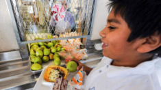 Se encuentran «cantidades preocupantes» de plomo en los refrigerios orgánicos para niños