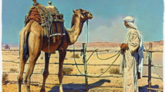 «Confía en Dios, pero ata tu camello» un proverbio de fe y responsabilidad